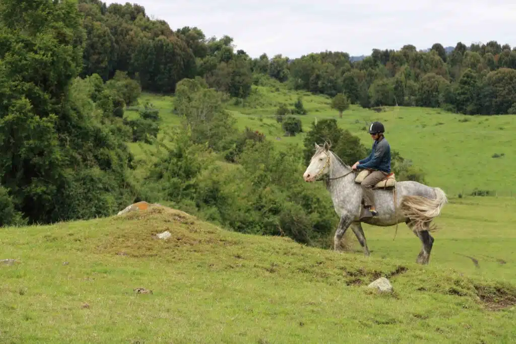 Cabalgata Puyehue